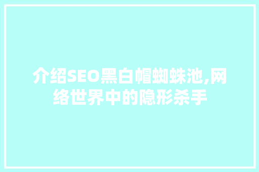 介绍SEO黑白帽蜘蛛池,网络世界中的隐形杀手