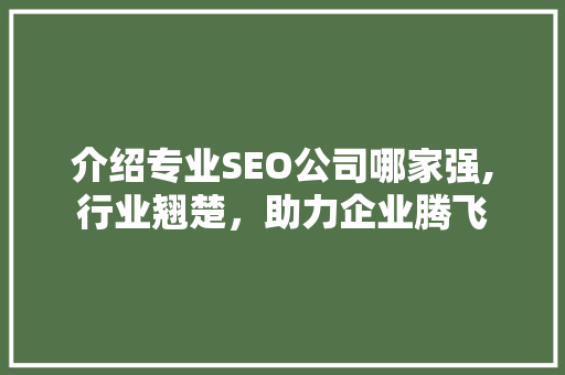 介绍专业SEO公司哪家强,行业翘楚，助力企业腾飞
