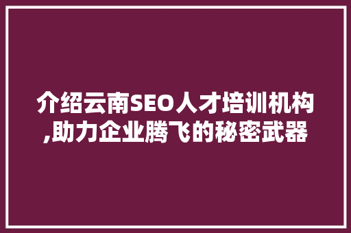 介绍云南SEO人才培训机构,助力企业腾飞的秘密武器
