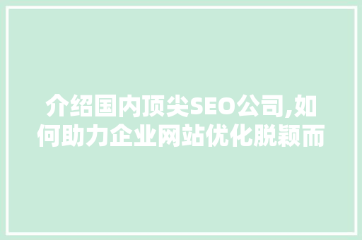 介绍国内顶尖SEO公司,如何助力企业网站优化脱颖而出