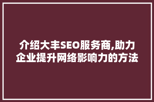 介绍大丰SEO服务商,助力企业提升网络影响力的方法