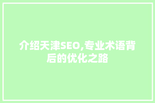 介绍天津SEO,专业术语背后的优化之路