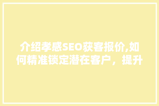 介绍孝感SEO获客报价,如何精准锁定潜在客户，提升企业竞争力