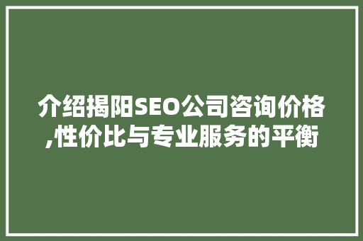 介绍揭阳SEO公司咨询价格,性价比与专业服务的平衡之路
