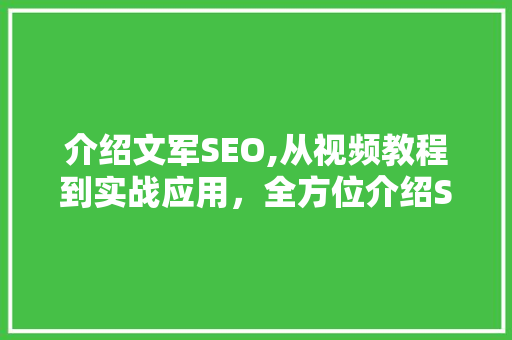 介绍文军SEO,从视频教程到实战应用，全方位介绍SEO优化之路