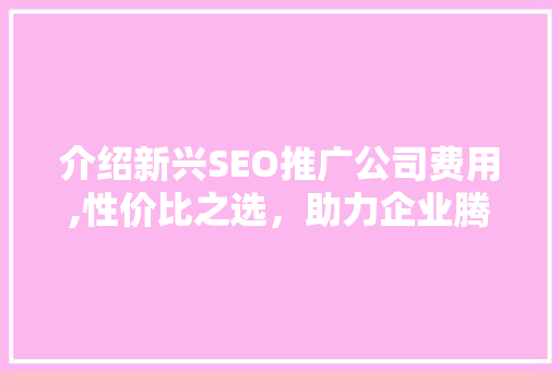 介绍新兴SEO推广公司费用,性价比之选，助力企业腾飞