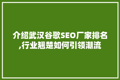 介绍武汉谷歌SEO厂家排名,行业翘楚如何引领潮流