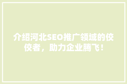 介绍河北SEO推广领域的佼佼者，助力企业腾飞！