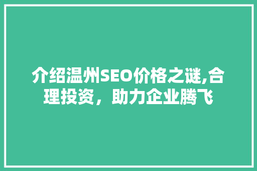 介绍温州SEO价格之谜,合理投资，助力企业腾飞