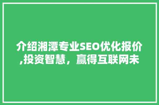 介绍湘潭专业SEO优化报价,投资智慧，赢得互联网未来