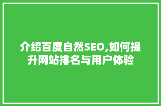 介绍百度自然SEO,如何提升网站排名与用户体验