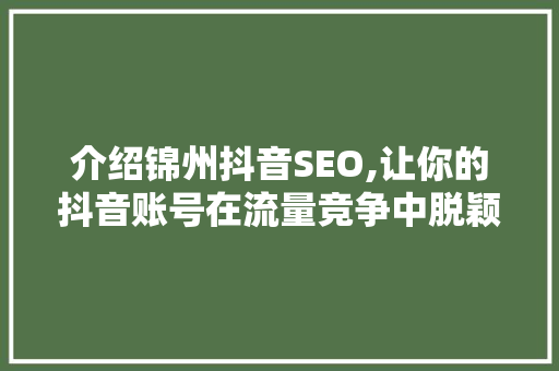 介绍锦州抖音SEO,让你的抖音账号在流量竞争中脱颖而出