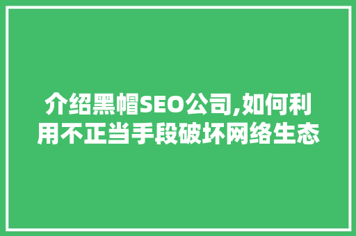 介绍黑帽SEO公司,如何利用不正当手段破坏网络生态