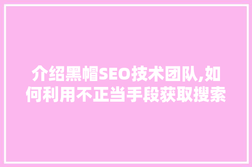 介绍黑帽SEO技术团队,如何利用不正当手段获取搜索引擎排名