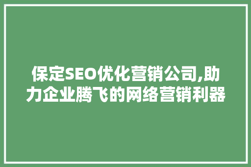 保定SEO优化营销公司,助力企业腾飞的网络营销利器