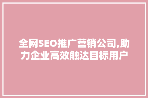 全网SEO推广营销公司,助力企业高效触达目标用户