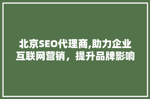 北京SEO代理商,助力企业互联网营销，提升品牌影响力