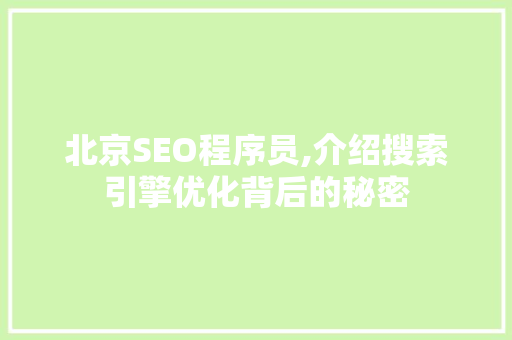 北京SEO程序员,介绍搜索引擎优化背后的秘密