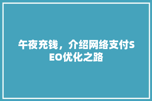 午夜充钱，介绍网络支付SEO优化之路