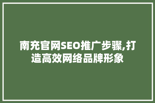 南充官网SEO推广步骤,打造高效网络品牌形象