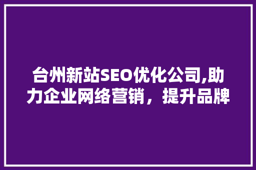台州新站SEO优化公司,助力企业网络营销，提升品牌影响力