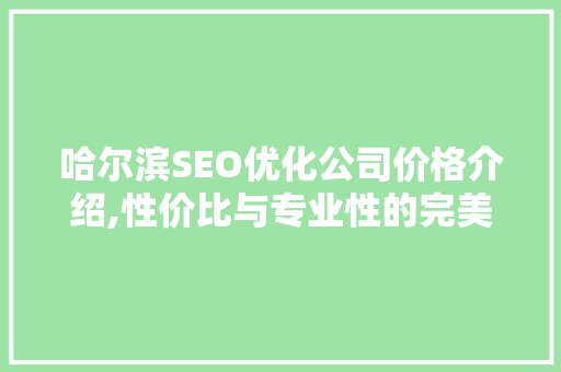 哈尔滨SEO优化公司价格介绍,性价比与专业性的完美平衡