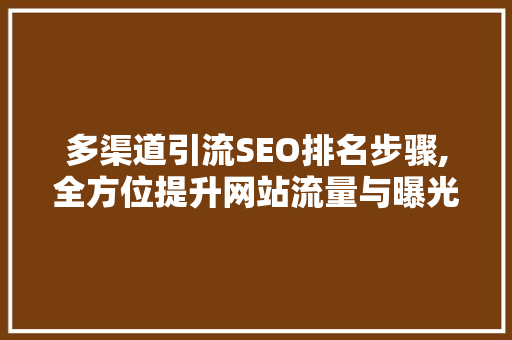 多渠道引流SEO排名步骤,全方位提升网站流量与曝光度