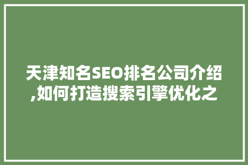天津知名SEO排名公司介绍,如何打造搜索引擎优化之王
