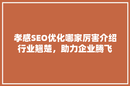 孝感SEO优化哪家厉害介绍行业翘楚，助力企业腾飞