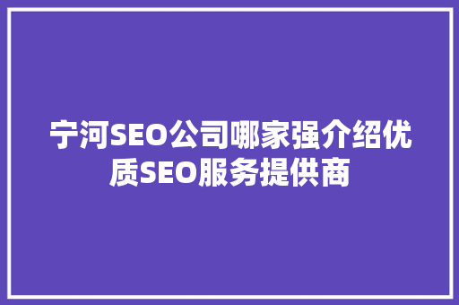 宁河SEO公司哪家强介绍优质SEO服务提供商