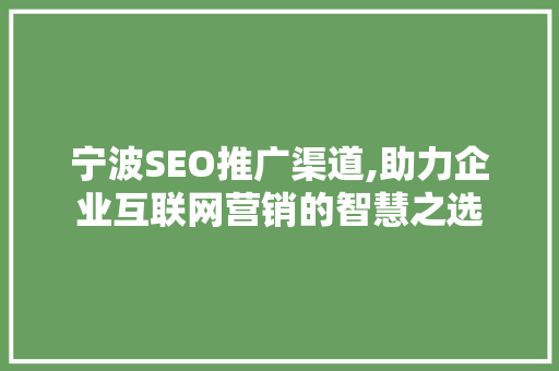 宁波SEO推广渠道,助力企业互联网营销的智慧之选
