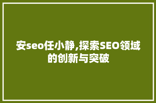 安seo任小静,探索SEO领域的创新与突破