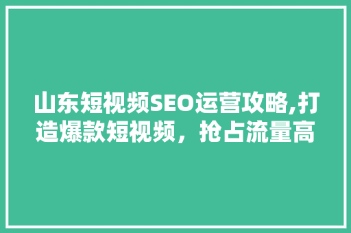 山东短视频SEO运营攻略,打造爆款短视频，抢占流量高地