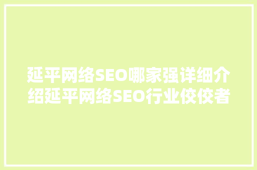延平网络SEO哪家强详细介绍延平网络SEO行业佼佼者