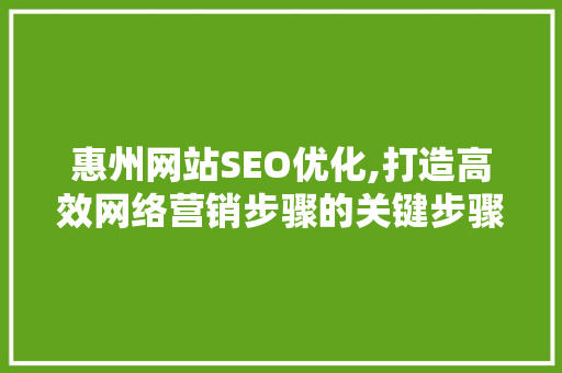 惠州网站SEO优化,打造高效网络营销步骤的关键步骤