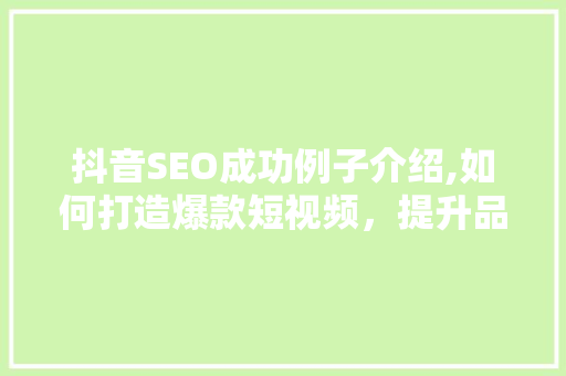抖音SEO成功例子介绍,如何打造爆款短视频，提升品牌影响力