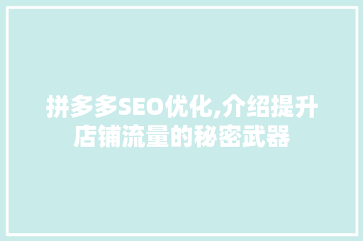 拼多多SEO优化,介绍提升店铺流量的秘密武器
