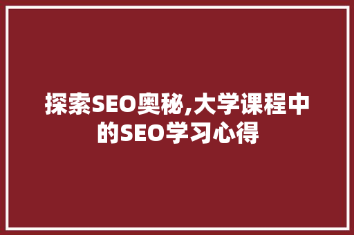探索SEO奥秘,大学课程中的SEO学习心得