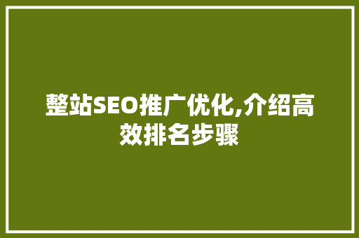 整站SEO推广优化,介绍高效排名步骤