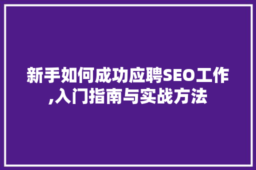 新手如何成功应聘SEO工作,入门指南与实战方法