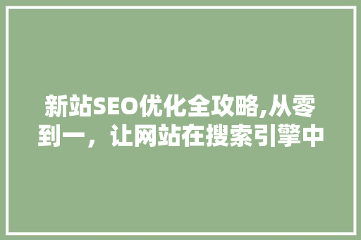 新站SEO优化全攻略,从零到一，让网站在搜索引擎中脱颖而出