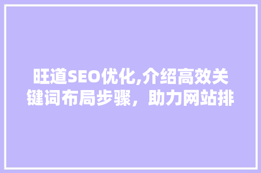 旺道SEO优化,介绍高效关键词布局步骤，助力网站排名飙升