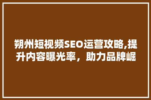 朔州短视频SEO运营攻略,提升内容曝光率，助力品牌崛起