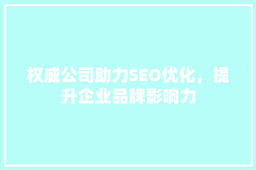 权威公司助力SEO优化，提升企业品牌影响力
