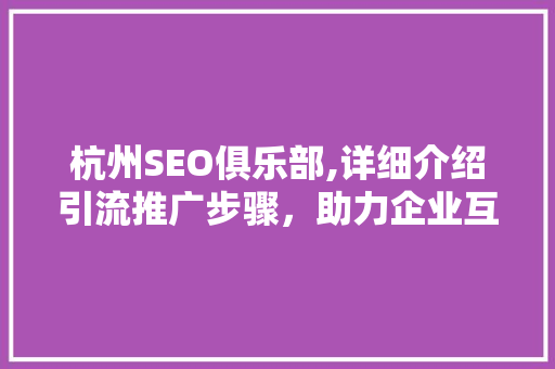 杭州SEO俱乐部,详细介绍引流推广步骤，助力企业互联网营销