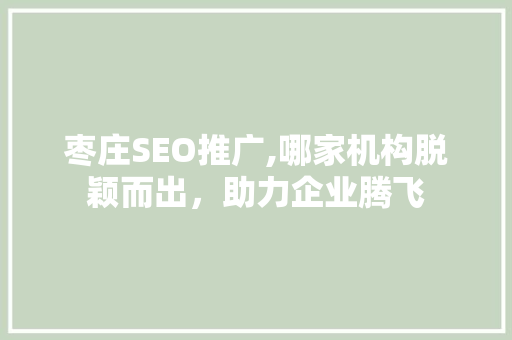 枣庄SEO推广,哪家机构脱颖而出，助力企业腾飞