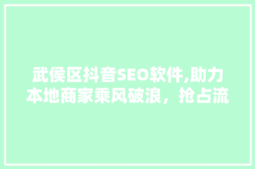 武侯区抖音SEO软件,助力本地商家乘风破浪，抢占流量高地