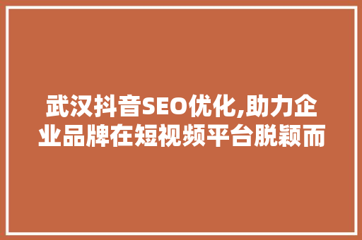 武汉抖音SEO优化,助力企业品牌在短视频平台脱颖而出