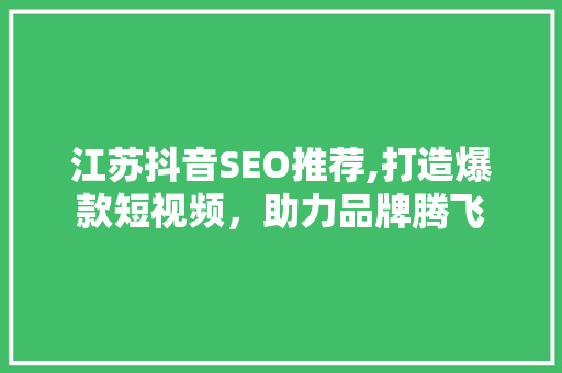 江苏抖音SEO推荐,打造爆款短视频，助力品牌腾飞