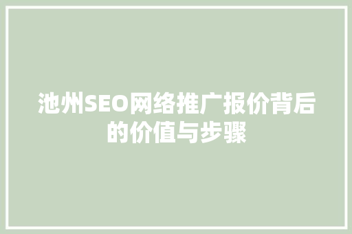 池州SEO网络推广报价背后的价值与步骤